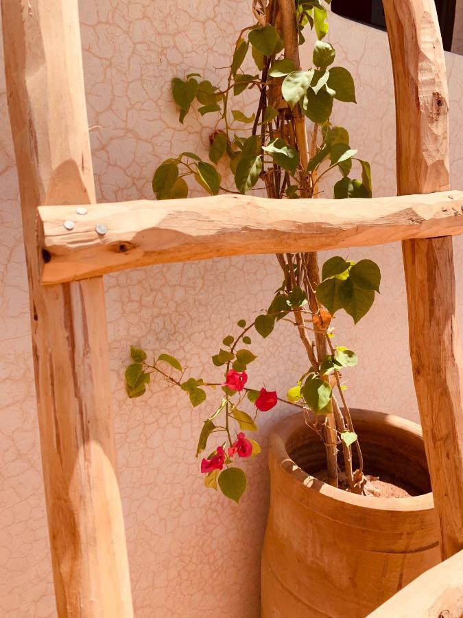 Riad Kadi Marrakesh Ngoại thất bức ảnh